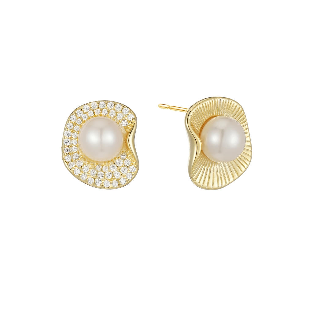 Distinct Pearl Duo Earrings 1